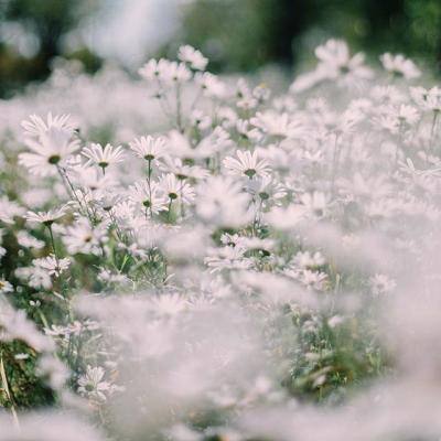 小婴儿逃出系列1